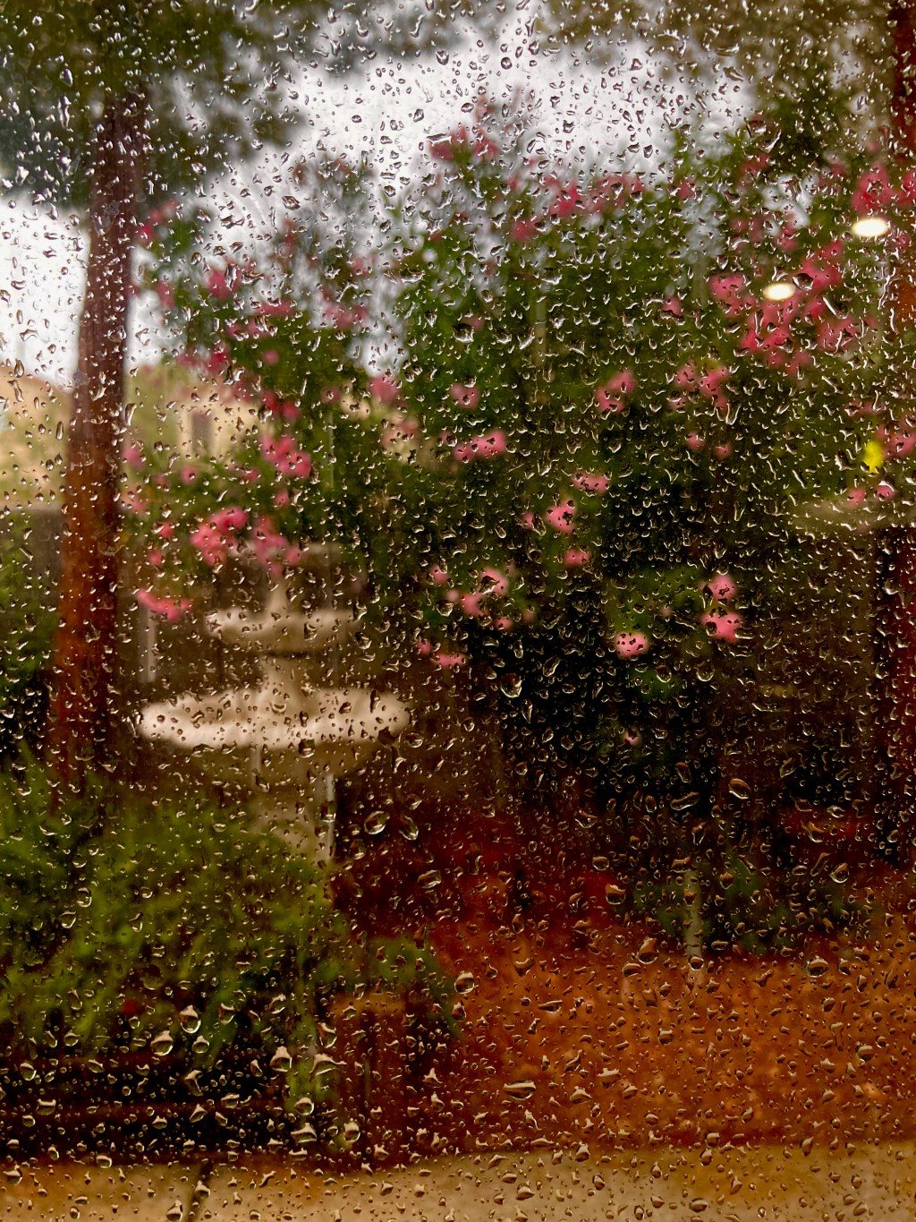 Desert Rain in Spring (1), a&nbsp;ballad